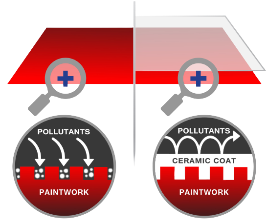 The Detailing Specialist